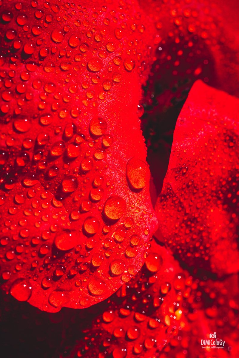 MACRO