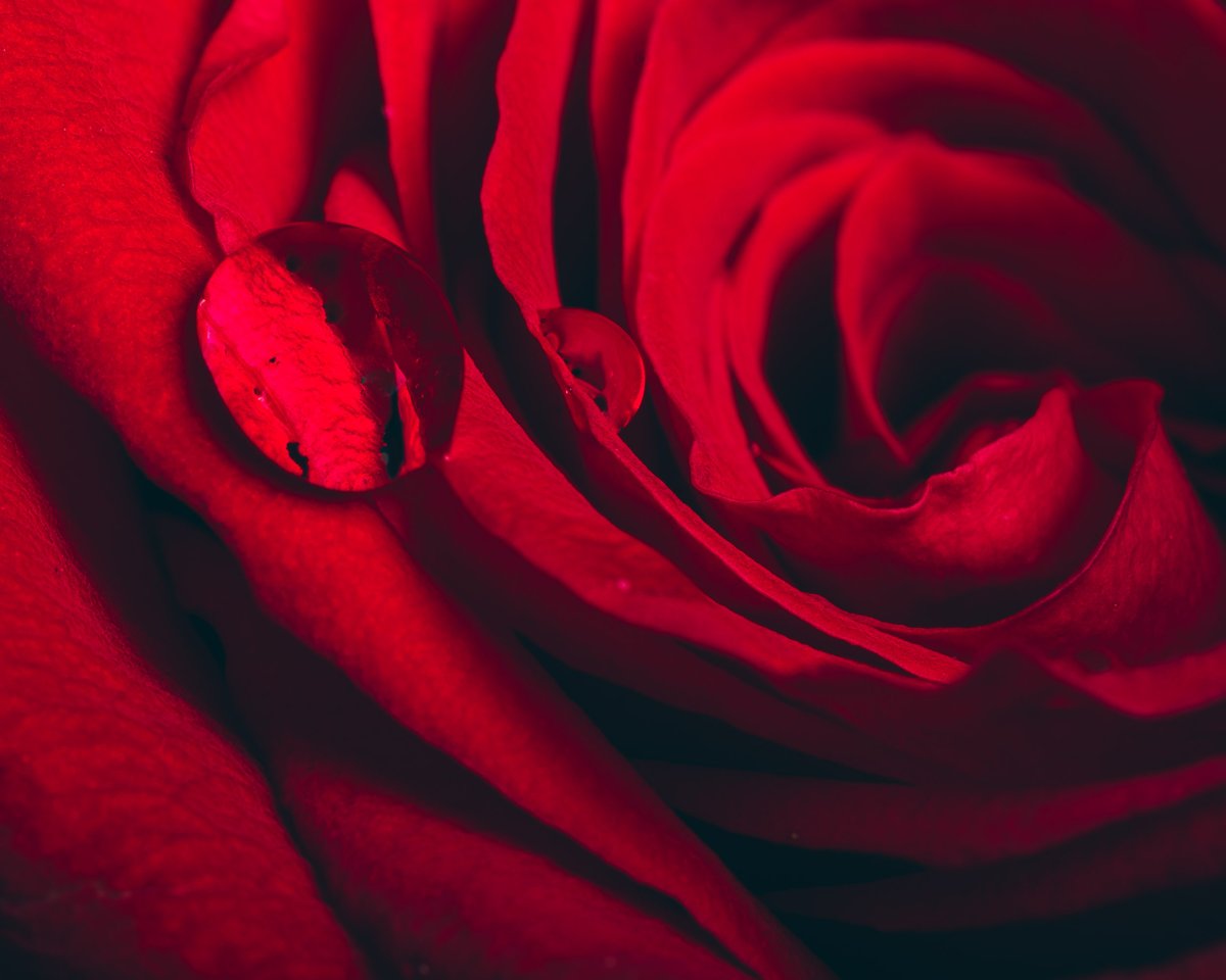 MACRO