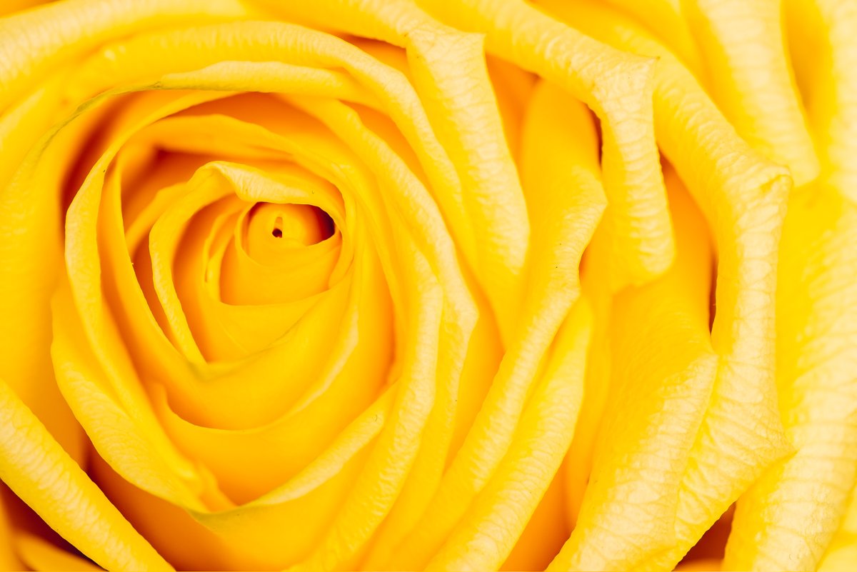 MACRO