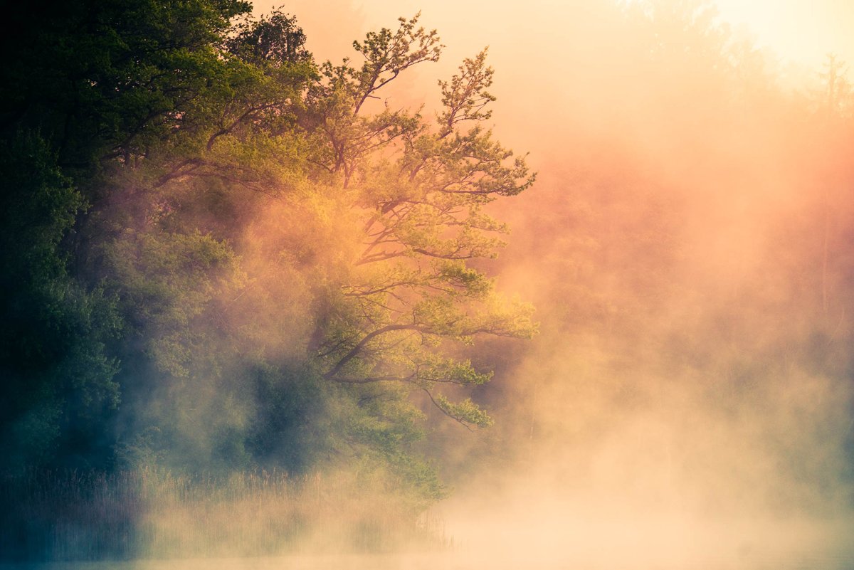 LANDSCAPES