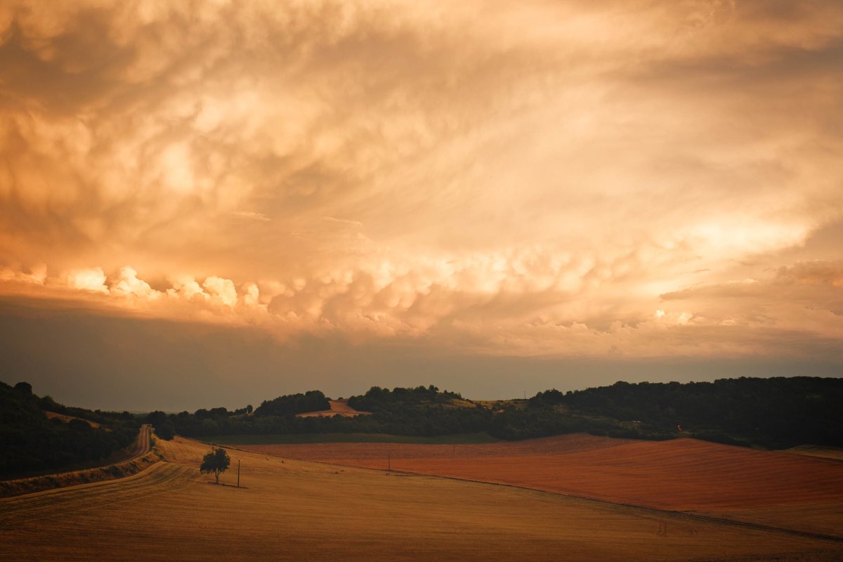 LANDSCAPES