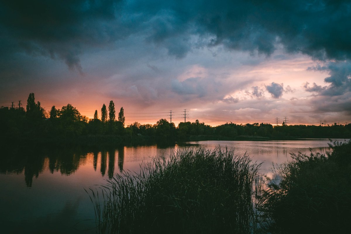 LANDSCAPES