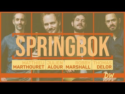 SPRINGBOK (Matthieu Marthouret Quartet) – D.W (studio footage)