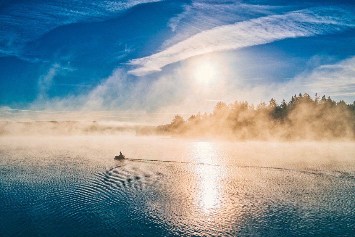 LANDSCAPES