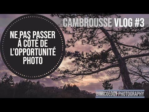 Cambrousse Vlog #3 – Ne passez pas à coté de la photo d&rsquo;opportunité !