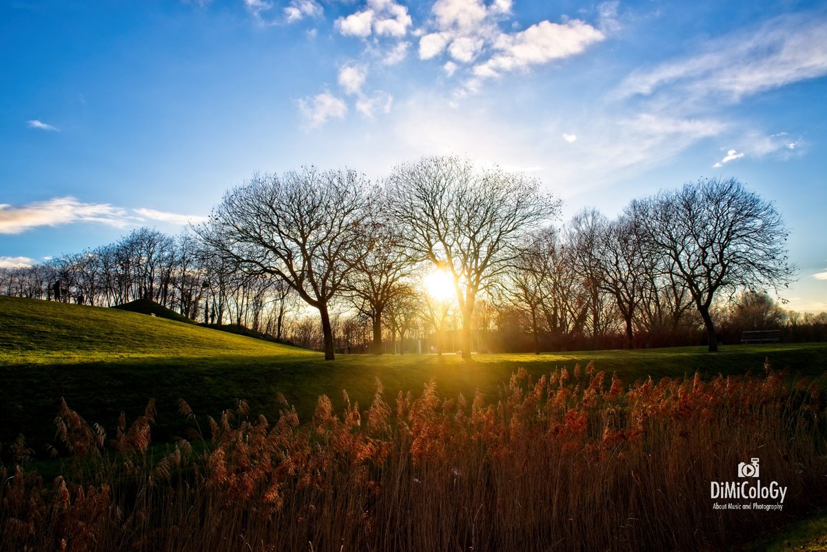 LANDSCAPES