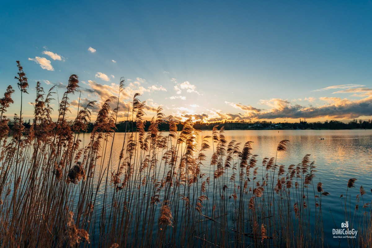 LANDSCAPES