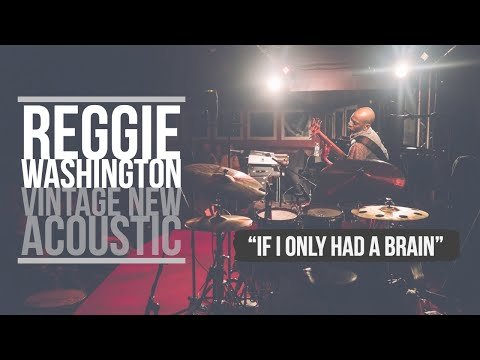 VINTAGE NEW ACOUSTIC – If I only had a brain
