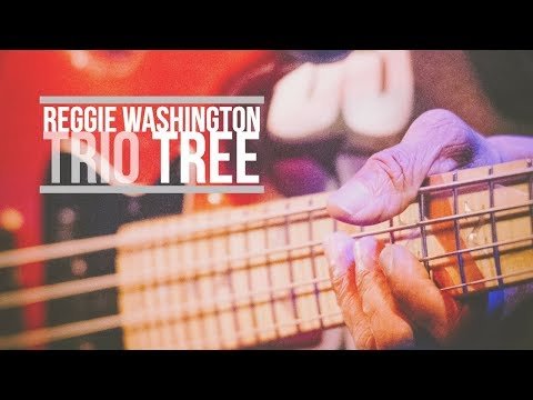 REGGIE WASHINGTON TRIO TREE « Scorpion in the Closet »