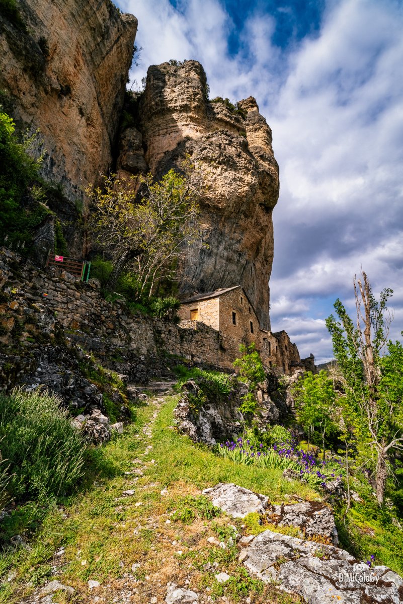 LANDSCAPES