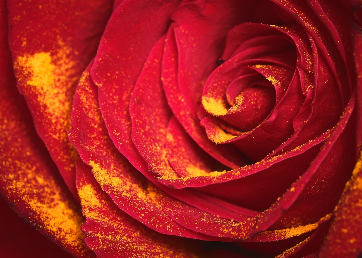 MACRO