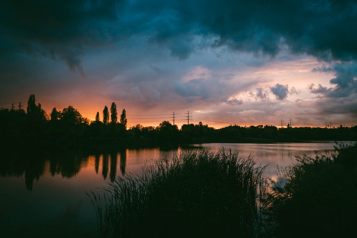 LANDSCAPES