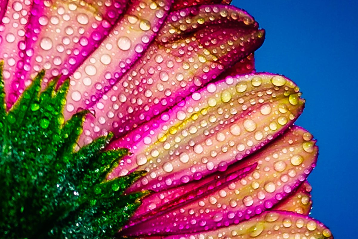 MACRO